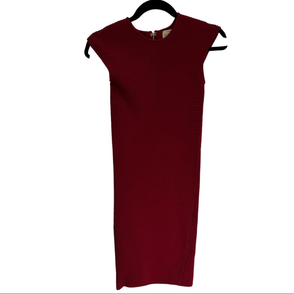 Torn by Ronny Kobo | maroon dress